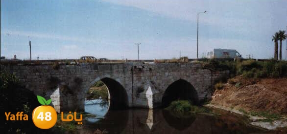 lud ramla 0507 (9).jpg